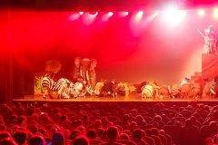 IMG_8127
